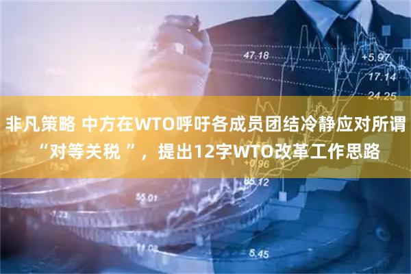 非凡策略 中方在WTO呼吁各成员团结冷静应对所谓 “对等关税 ”，提出12字WTO改革工作思路