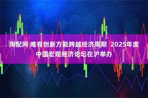 淘配网 唯有创新方能跨越经济周期 2025年度中国宏观经济论坛在沪举办