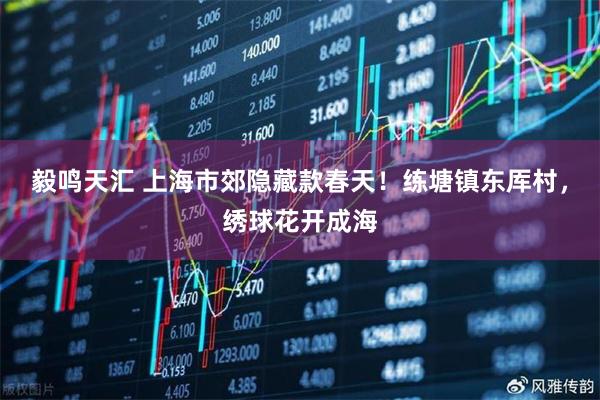 毅鸣天汇 上海市郊隐藏款春天！练塘镇东厍村，绣球花开成海