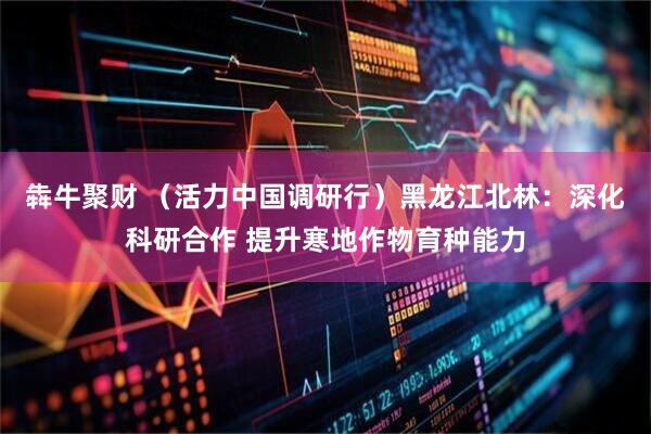 犇牛聚财 （活力中国调研行）黑龙江北林：深化科研合作 提升寒地作物育种能力